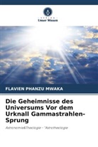 Flavien Phanzu Mwaka - Die Geheimnisse des Universums Vor dem Urknall Gammastrahlen-Sprung