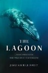 James Dorsey, James Michael Dorsey - The Lagoon 