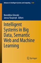 Noreddine Gherabi, Kacprzyk, Janusz Kacprzyk - Intelligent Systems in Big Data, Semantic Web and Machine Learning
