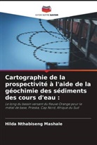 Hilda Nthabiseng Mashale - Cartographie de la prospectivité à l'aide de la géochimie des sédiments des cours d'eau :