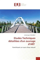 Lénissongui Coulibaly - Etudes Techniques détaillées d'un ouvrage d'ART