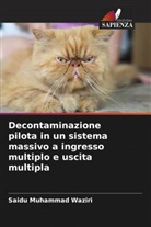 Saidu Muhammad Waziri - Decontaminazione pilota in un sistema massivo a ingresso multiplo e uscita multipla