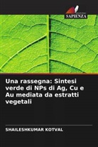 SHAILESHKUMAR KOTVAL - Una rassegna: Sintesi verde di NPs di Ag, Cu e Au mediata da estratti vegetali