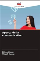 Nilesh Kumar, Vikash Kumar - Aperçu de la communication