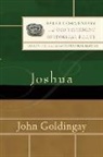 David Firth, John Goldingay, Lissa Wray Beal, David Firth, David G Firth, Lissa Wray Beal - Joshua