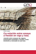 Víctor López - Co-relación entre ensaye a flexión en viga y losa.