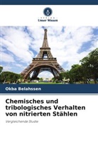 Okba Belahssen - Chemisches und tribologisches Verhalten von nitrierten Stählen