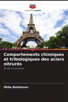 Okba Belahssen - Comportements chimiques et tribologiques des aciers nitrurés