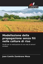Juan Camilo Zambrano Meza - Modellazione della propagazione senza fili nelle colture di riso