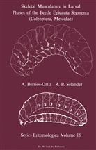 A. Berrios-Ortiz, R B Selander, R. B. Selander - Skeletal Musculature in Larval Phases of the Beetle Epicauta Segmenta (Coleoptera, Meloidae)