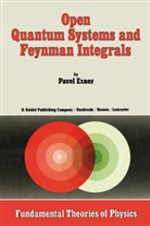 P. Exner - Open Quantum Systems and Feynman Integrals