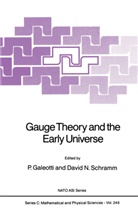 P. Galeotti, David N Schramm, David N. Schramm - Gauge Theory and the Early Universe