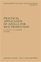 E C Schröder, E. C. Schröder, W S Silver, W. S. Silver - Practical Application of Azolla for Rice Production