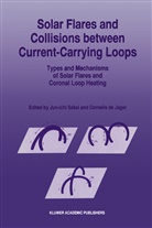 C. De Jager, C. De Jager, Jun-Ichi Sakai - Solar Flares and Collisions between Current-Carrying Loops
