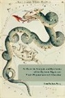 Inez E. Perry, Elizabeth Ledbetter - An Esoteric Analysis and Synthesis of the Zodiacal Signs and Their Physiochemical Allocation