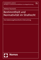 Nikolaos Tsoumanis - Bestimmtheit und Normativität im Strafrecht
