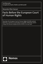 Alexandra Ellen Hansen - Facts Before the European Court of Human Rights