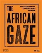 AMY SALL, Mamadou Diouf, Amy Sall - The African Gaze