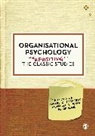 Niklas K. Rink Steffens, Floor Rink, Michelle K. Ryan, Michelle K. K. Ryan, Ryan Michelle K., Niklas K. Steffens - Organisational Psychology