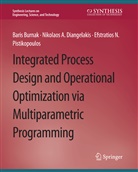 Baris Burnak, Nikolaos A Diangelakis, Nikolaos A. Diangelakis, Pistikopoulo, Efstratios N. Pistikopoulos - Integrated Process Design and Operational Optimization via Multiparametric Programming