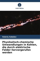 Aleksandr Molchanov, Dmi Rudakov, Dmitry Rudakov, Valeriy Sobolev - Physikalisch-chemische Umwandlungen in Kohlen, die durch elektrische Felder hervorgerufen werden