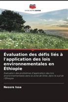 Nessre Issa - Évaluation des défis liés à l'application des lois environnementales en Éthiopie