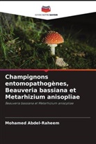 Mohamed Abdel-Raheem - Champignons entomopathogènes, Beauveria bassiana et Metarhizium anisopliae