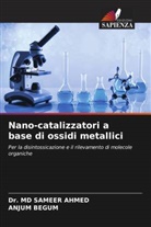 Dr. MD SAMEER AHMED, Md Sameer Ahmed, ANJUM BEGUM - Nano-catalizzatori a base di ossidi metallici