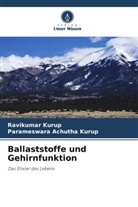 Parameswara Achutha Kurup, Ravikumar Kurup - Ballaststoffe und Gehirnfunktion