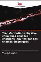 Aleksandr Molchanov, Dmitry Rudakov, Valeriy Sobolev - Transformations physico-chimiques dans les charbons induites par des champs électriques