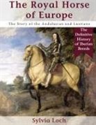Sylvia Loch - The Royal Horse of Europe (Allen breed series)