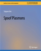 Tatjana Gric - Spoof Plasmons