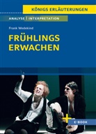 Frank Wedekind - Frühlings Erwachen von Frank Wedekind - Textanalyse und Interpretation