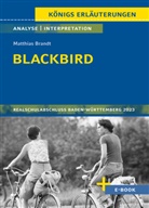 Matthias Brandt, Sabine Hasenbach - Blackbird von Matthias Brandt - Textanalyse und Interpretation