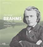 Christoph Arta, Wolfgang Sandberger, Stefan Weymar - Der junge Brahms