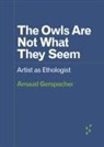 Arnaud Gerspacher - The Owls Are Not What They Seem