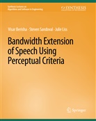 Visar Berisha, Julie Liss, Steven Sandoval - Bandwidth Extension of Speech Using Perceptual Criteria