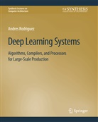 Andres Rodriguez - Deep Learning Systems
