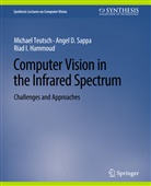 Riad I Hammoud, Riad I. Hammoud, Angel D Sappa, Angel D. Sappa, Michael Teutsch - Computer Vision in the Infrared Spectrum
