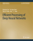 Yu-Hsin Chen, Joel S. Emer, Vivienne Sze, Tien-Ju Yang, Tien-Ju et al Yang - Efficient Processing of Deep Neural Networks