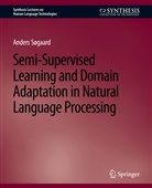 Anders Søgaard - Semi-Supervised Learning and Domain Adaptation in Natural Language Processing