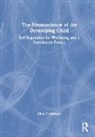Mine Conkbayir, Conkbayir Mine - Neuroscience of the Developing Child