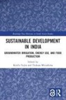 Koichi Mizushima Fujita, Koichi Fujita, Fujita Koichi, Tsukasa Mizushima - Sustainable Development in India