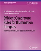 Kadi Bouatouch, Christian Bouville, Ricardo Marques, Luís Santos, Luís Paulo Santos - Efficient Quadrature Rules for Illumination Integrals