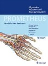 Erik Schulte, Udo Schumacher, Udo Schumacher u a, Michael Schünke - PROMETHEUS Allgemeine Anatomie und Bewegungssystem