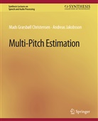 Mads Christensen, Andreas Jakobsson - Multi-Pitch Estimation