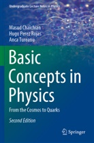 Masud Chaichian, Hugo Perez Rojas, Anca Tureanu - Basic Concepts in Physics