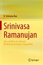 K Srinivasa Rao, K. Srinivasa Rao - Srinivasa Ramanujan