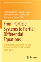 Cédric Bernardin, François Golse, Patrícia Gonçalves, Patrícia Gonçalves et al, Valeria Ricci, Ana Jacinta Soares - From Particle Systems to Partial Differential Equations