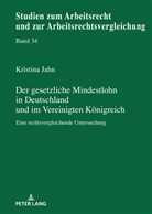 Kristina Jahn, Bernd Waas - Der gesetzliche Mindestlohn in Deutschland und im Vereinigten Königreich